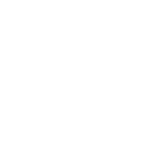 Euro The Brand LLC